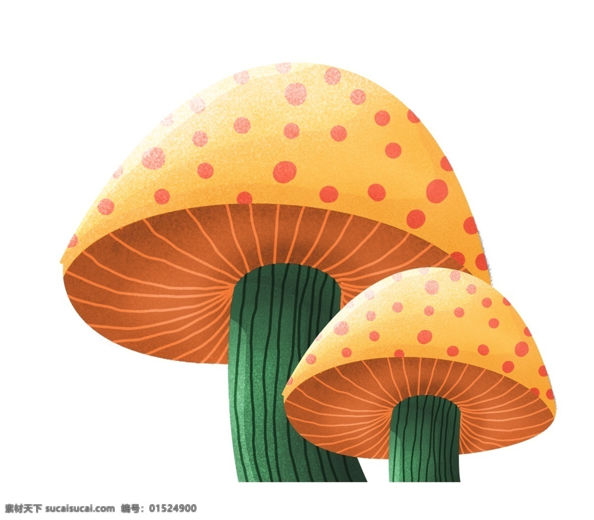 两个蘑菇 蘑菇 菌类 食品