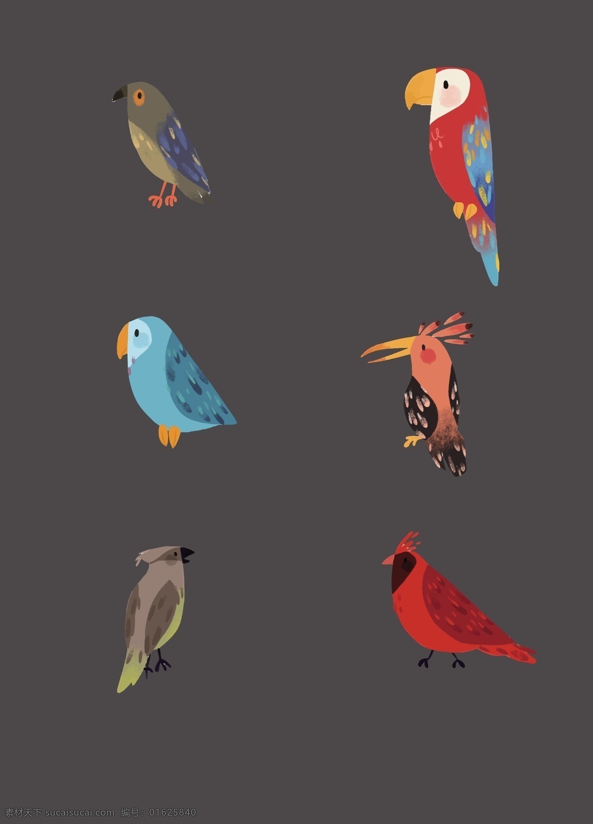 彩色 的卡 通 小鸟 插画 卡通 可爱 动物
