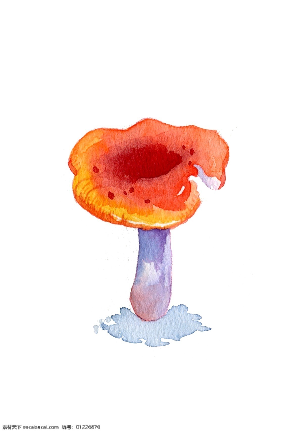 菌类 蔬菜 蘑菇 食物 卡通 手绘 秋天 秋季 秋日 插画 水彩