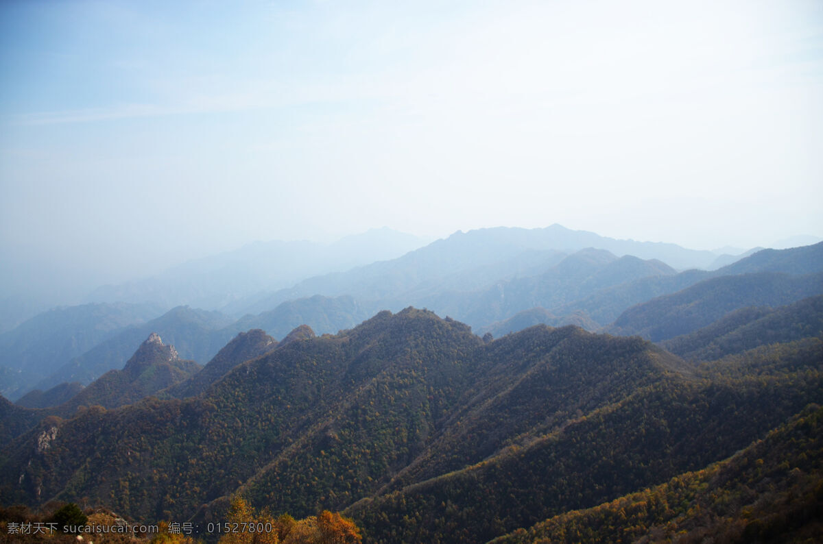 秋日 驼梁 树林 山林 秋天 树木 落叶木 驼梁的秋天 五台山 原始森林 落叶杉 山峦 自然景观 山水风景