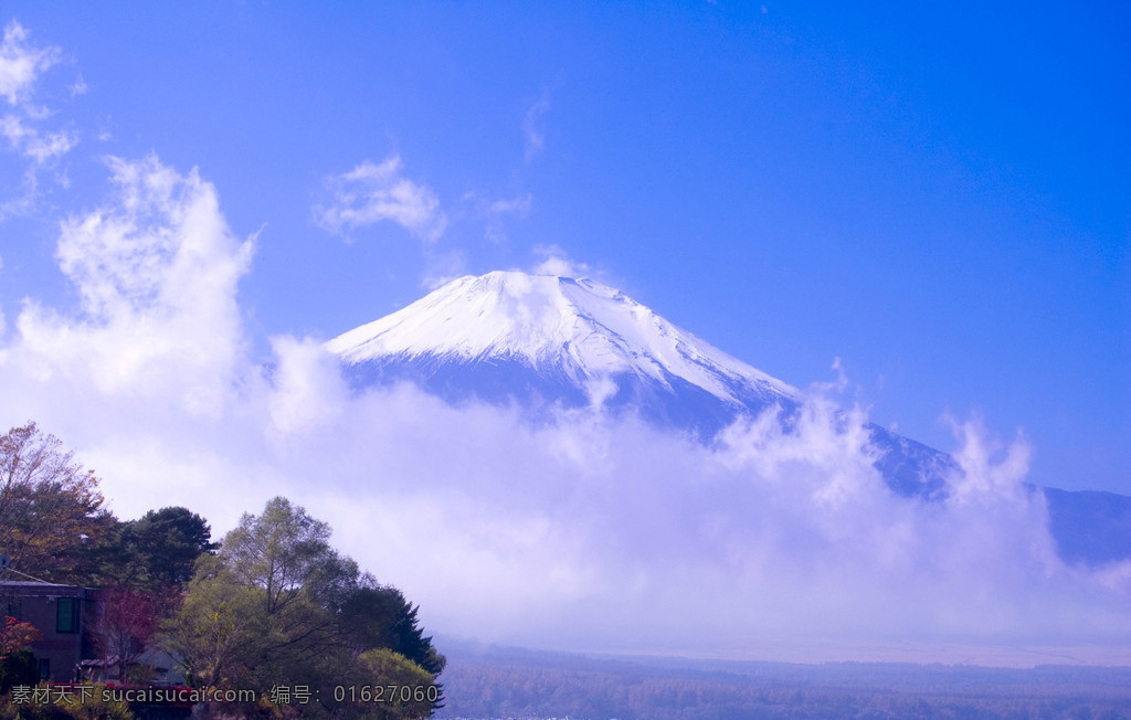 富士山 枫林 景区 蓝天 日本 风景 生活 旅游餐饮