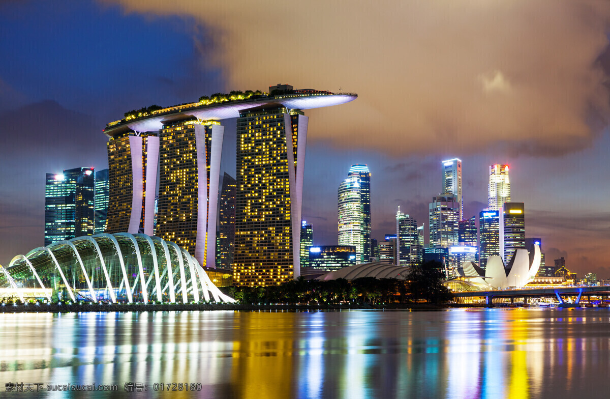 新加坡夜景 新加坡 夜景 建筑 城市 梦幻 旅游摄影 国外旅游