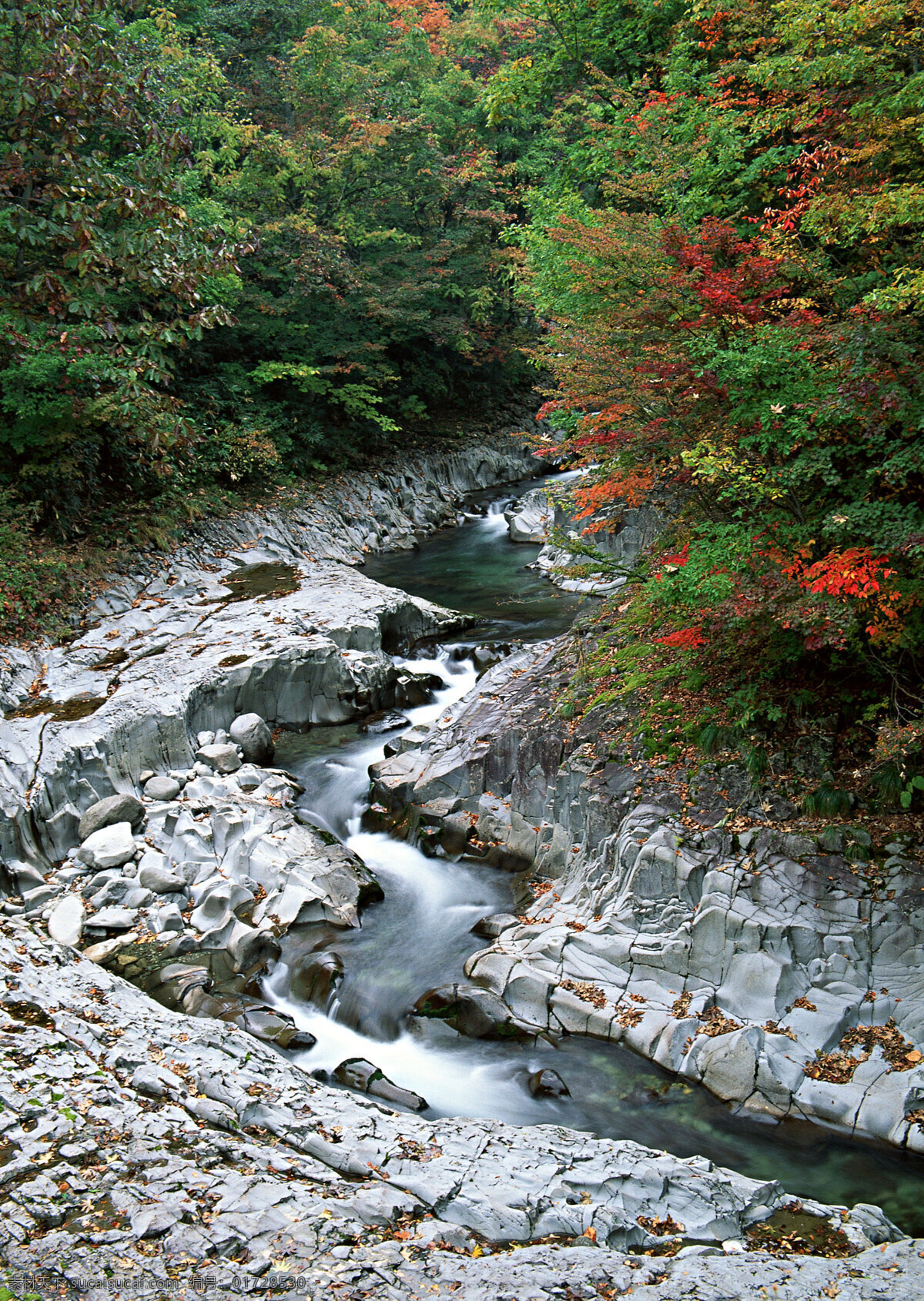 湍急 河流 自然 风景 水花 水雾 溅出 急流 树林 岩石 山水风景 风景图片