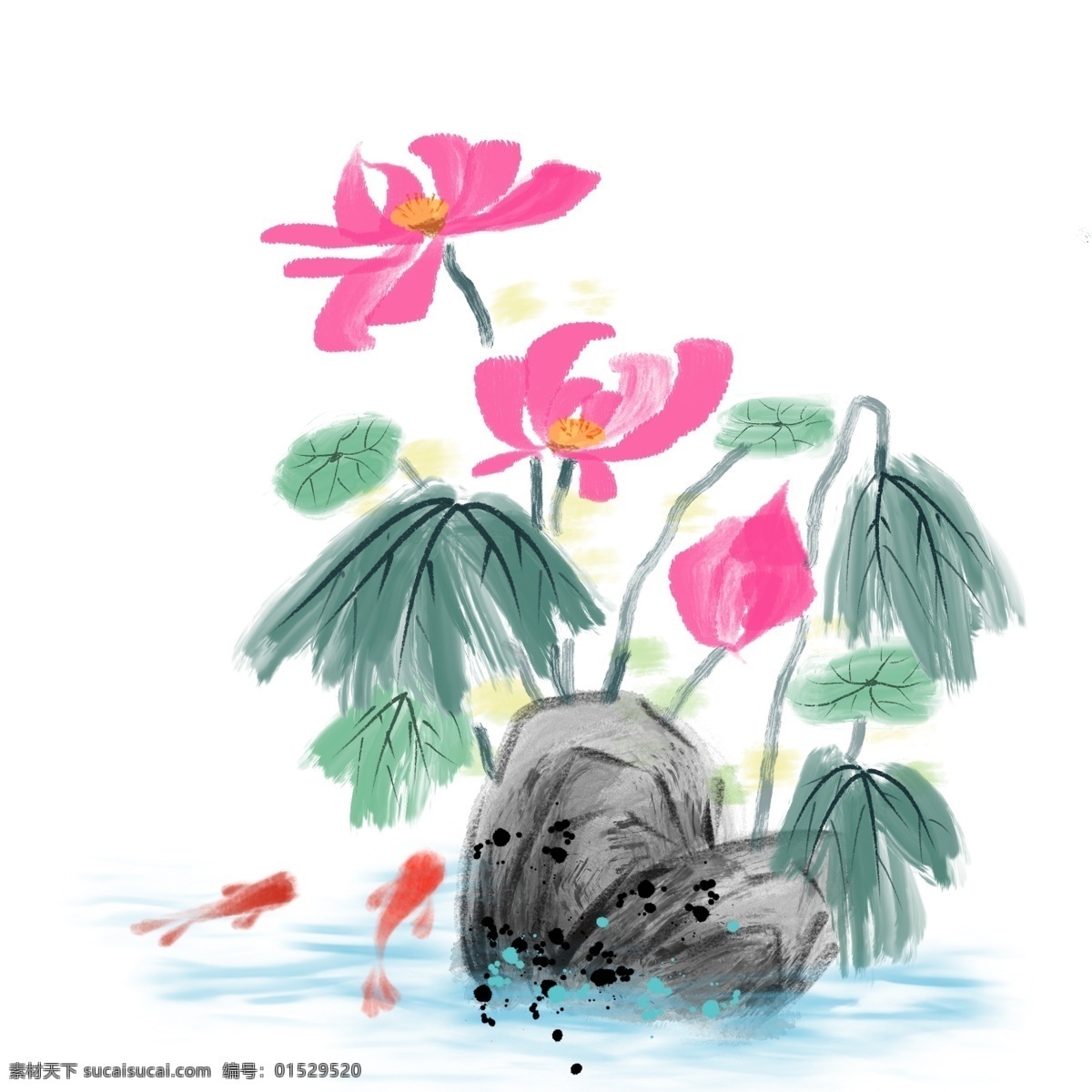 手绘 绽放 荷花 插画 绽放的荷花 卡通插画 水墨插画 植物插画 花朵插画 鲜花插画 黑色的石头