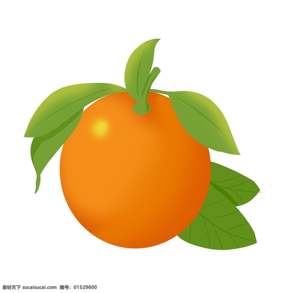 健康 水果 橙子 果肉 一个橙子 橘子 橙色 绿色叶子 新鲜水果 健康食物 橘子叶 桔子叶 橙子水果 橙子果实