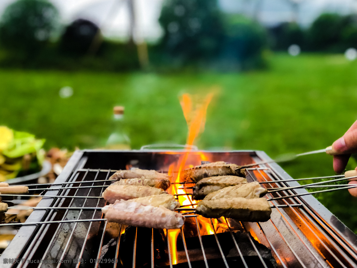 烤鸡翅 烧烤 春游 bbq 野外烧烤 烤箱 炭烤 摄影美食 餐饮美食 传统美食