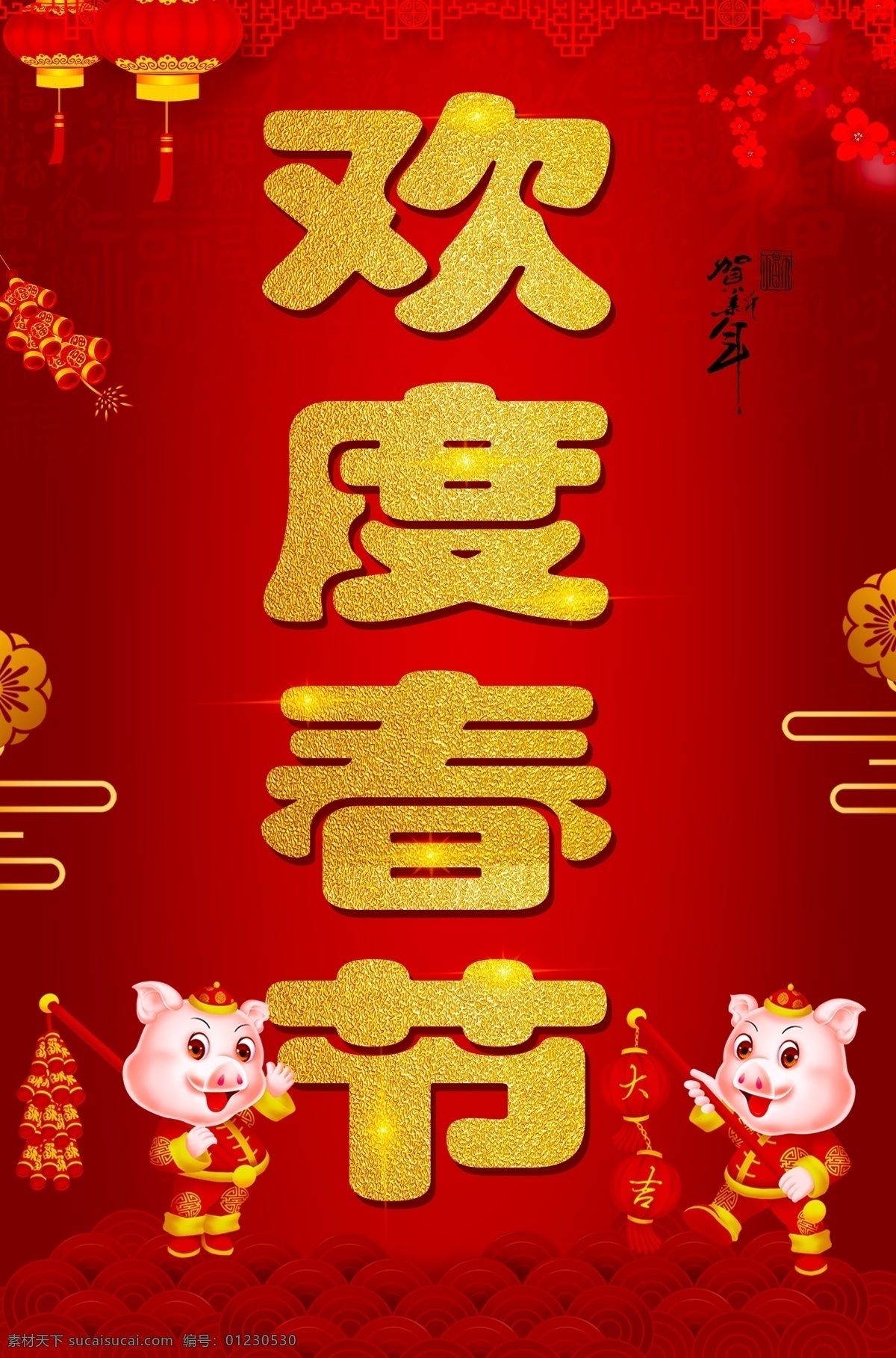 欢度春节 2019 金猪 新年快乐 新年好