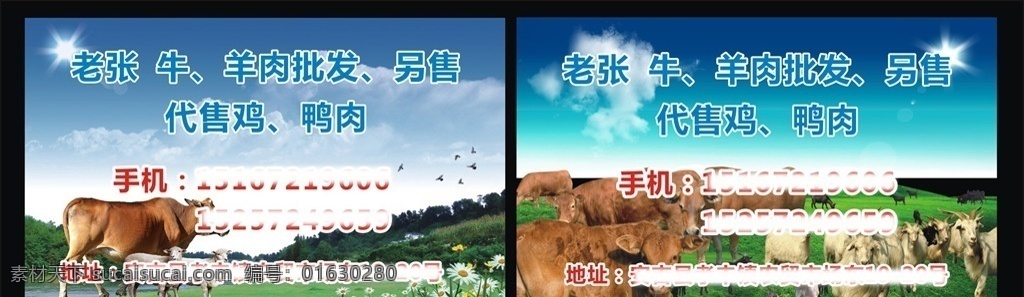 设计小巧名片 设计小巧 名片 牛 羊肉 批发 名片卡片