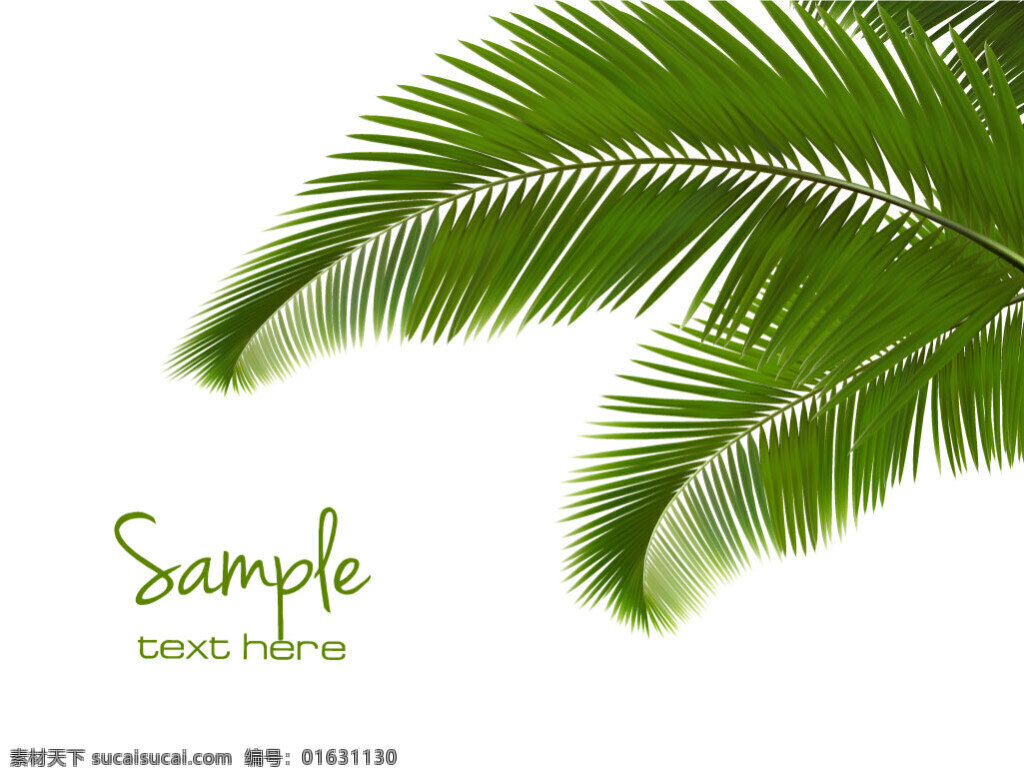 绿色 棕榈 树叶 背景 矢量 绿色的 棕榈树叶 矢量素材