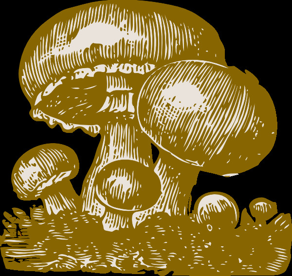蘑菇 剪辑 艺术 svg 红色