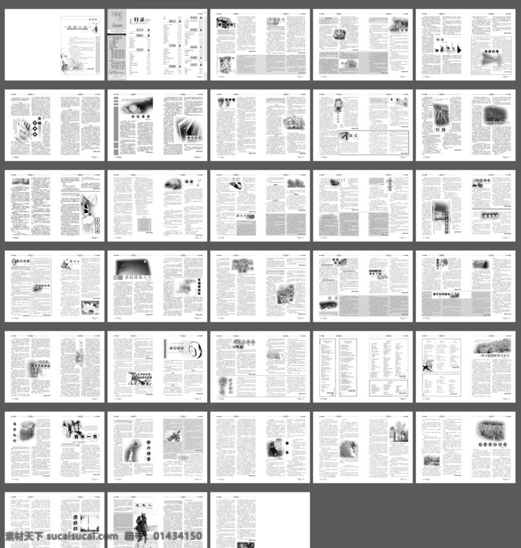 紫翎内页 紫翎杂志 校刊 文学 校内作文 学校文集 校园文化 学生文选 老师点评 书籍装帧 画册设计 矢量