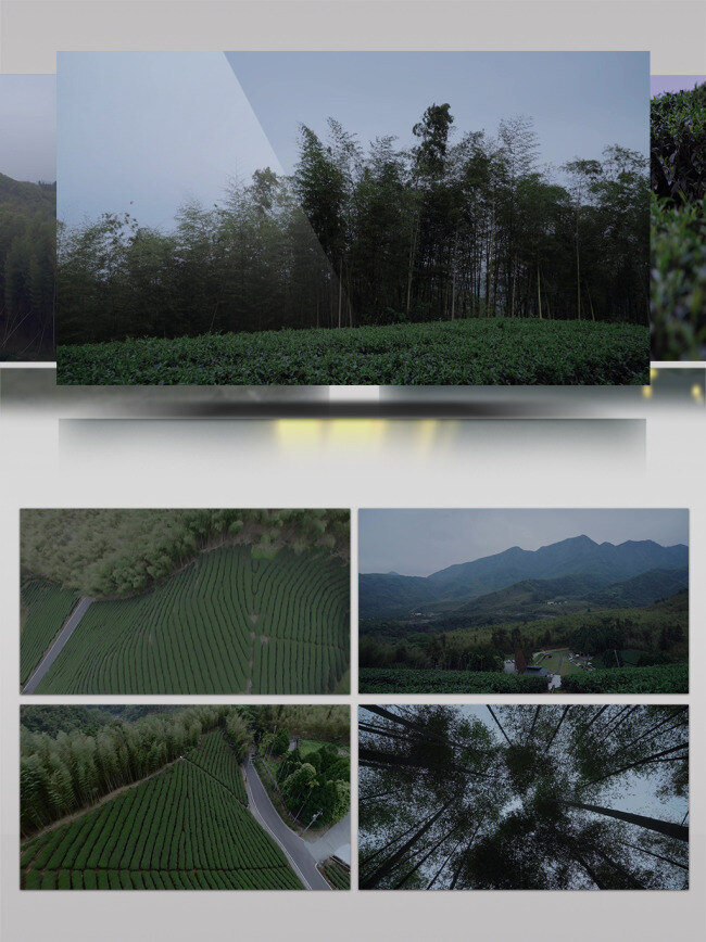 2k 民宿 自然风景 宣传片 自然 风光 景色 茶园