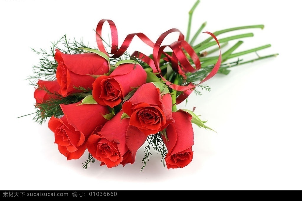 玫瑰花 红色玫瑰 花束 红色丝带 爱情的象征 绿叶 花朵 花卉 高清图片 创意图片 生物世界 花草 摄影图库