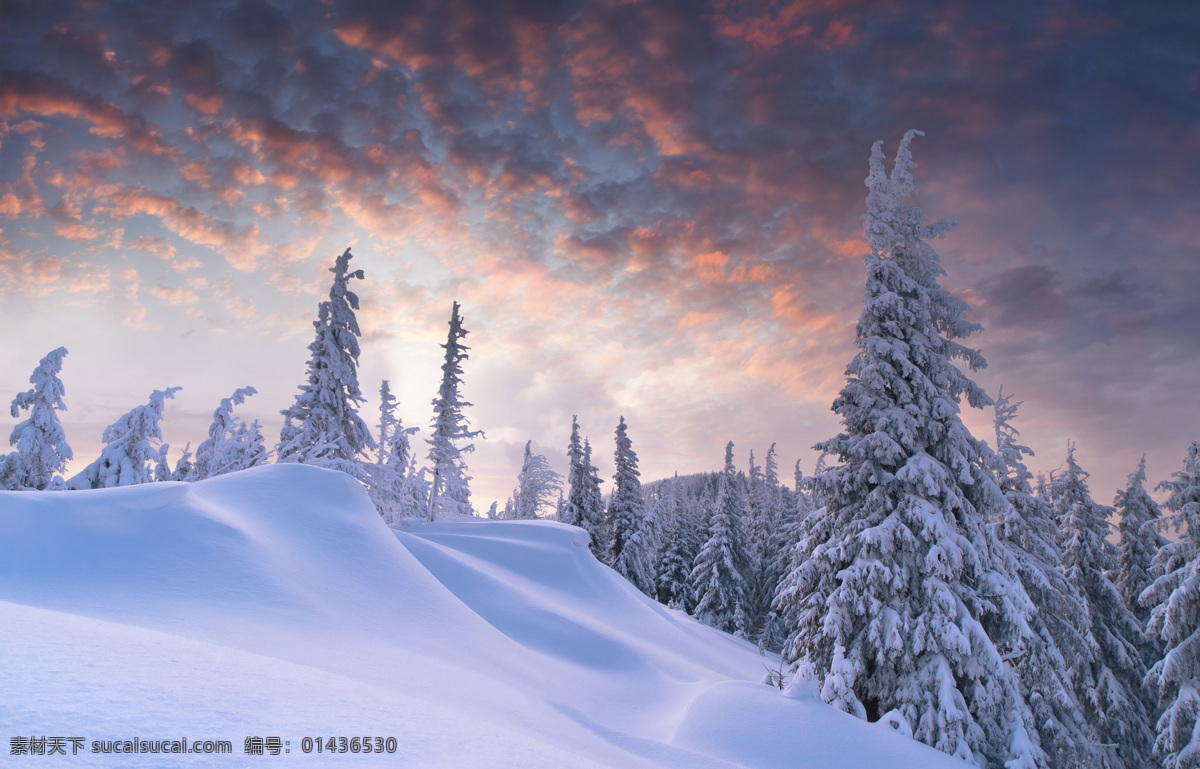 雪山摄影 松树 雪景 冬天 冬季 雪地 自然风光 景观 景区 自然风景 自然景观 蓝色