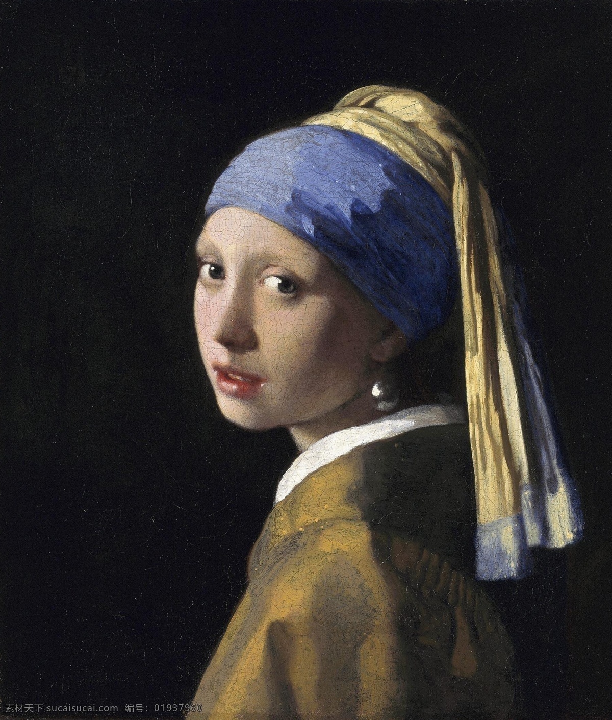维米尔 戴 珍珠 耳环 少女 珍珠耳环 荷兰 小画派 文化艺术 绘画书法