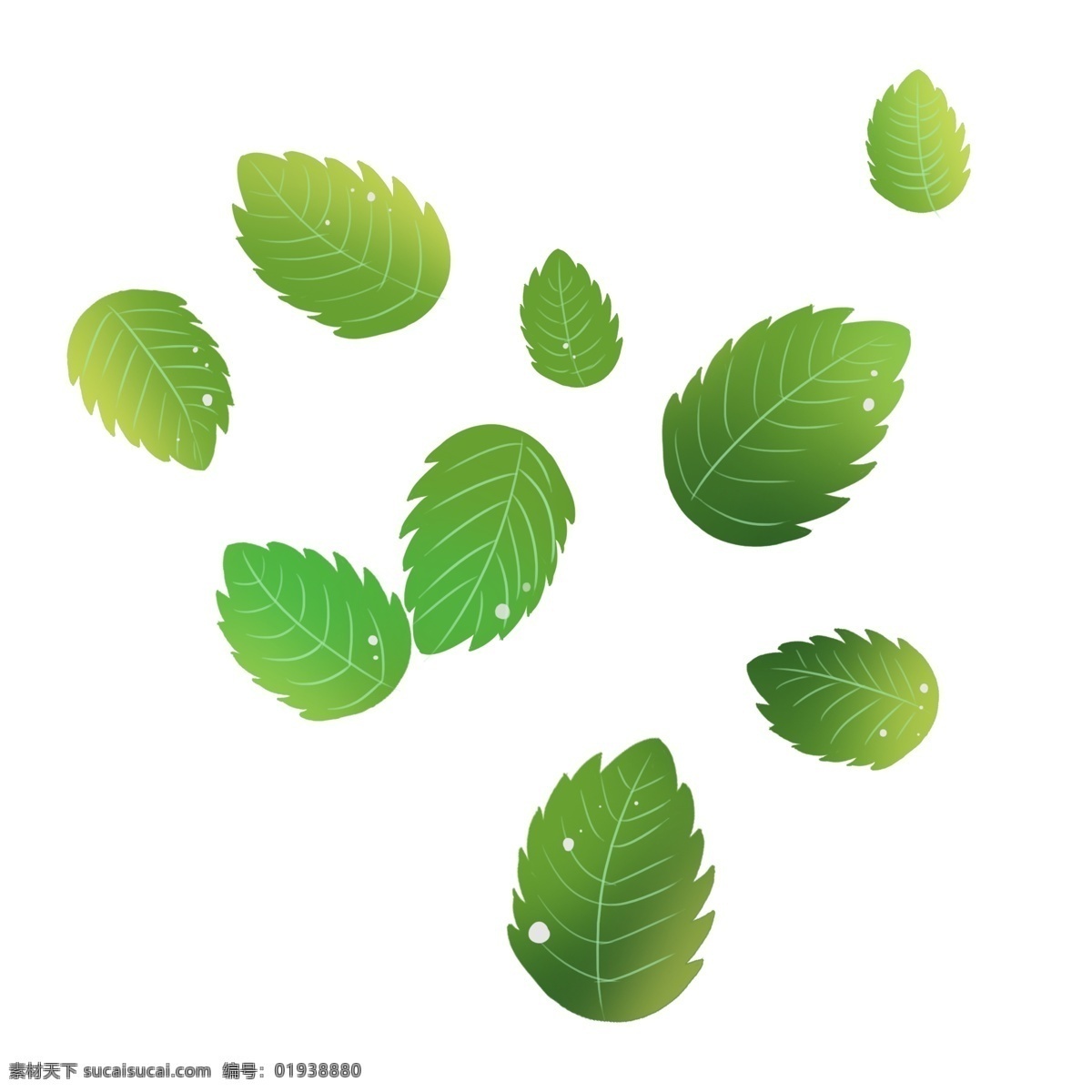 绿色植物 漂浮 树叶 元素 绿色 植物 纹理 叶脉 大自然 环境 装饰 渐变 卡通插画 春季 季节 闪光