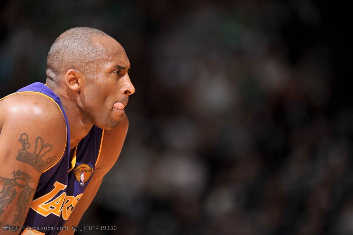 关于科比 科比 kobe 明星偶像 人物图库