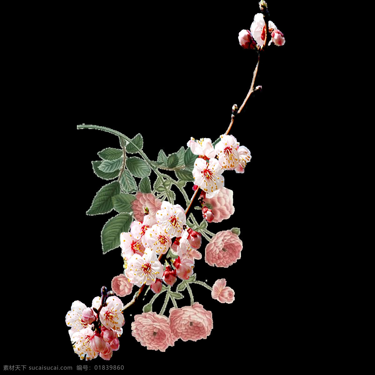 手绘 花朵 绿叶 元素 油画 渐变 花枝 免抠