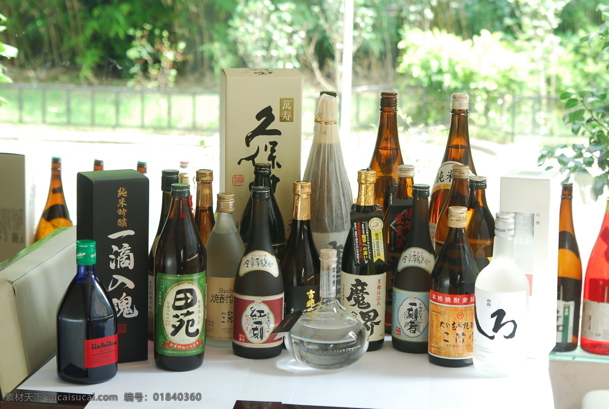 日本酒 烧酒 南通 绿树 白酒 米酒 酒水日本料理 饮料酒水 餐饮美食