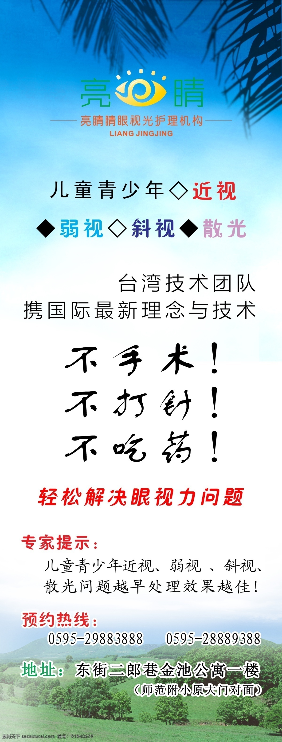 眼科版面 蓝色版面 眼科 亮睛睛 眼视力结构 椰子叶 乡村 广告设计模板 源文件