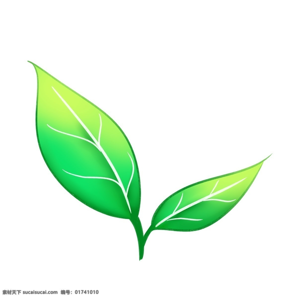 手绘 水彩 叶子 绿色植物 嫩芽 绿色 白色 墨绿色 单片叶子 植物 装饰 贴画