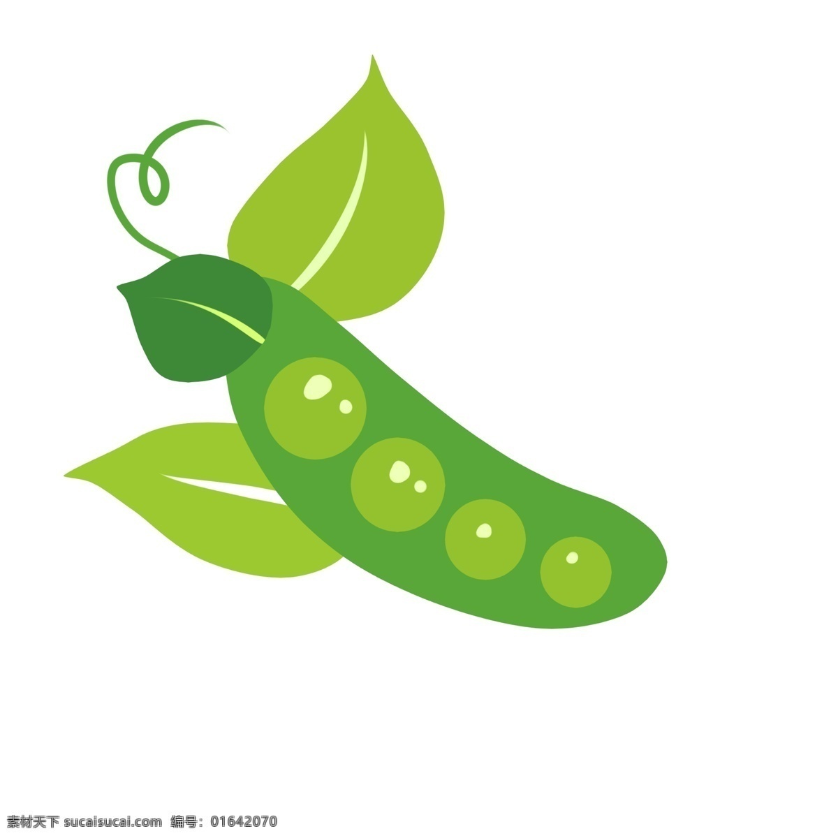 拨开 豌豆 两 只 大 叶子 系列 红色 黑色 绿色 白色 浅绿色 装饰 贴画 九个豆子 植物 手绘 写实 蔬菜