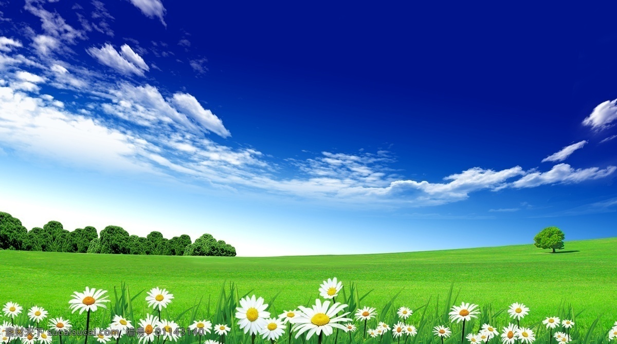 蓝天 白云 草地 天空 背景 蓝色 绿色草地 草坪 平面素材