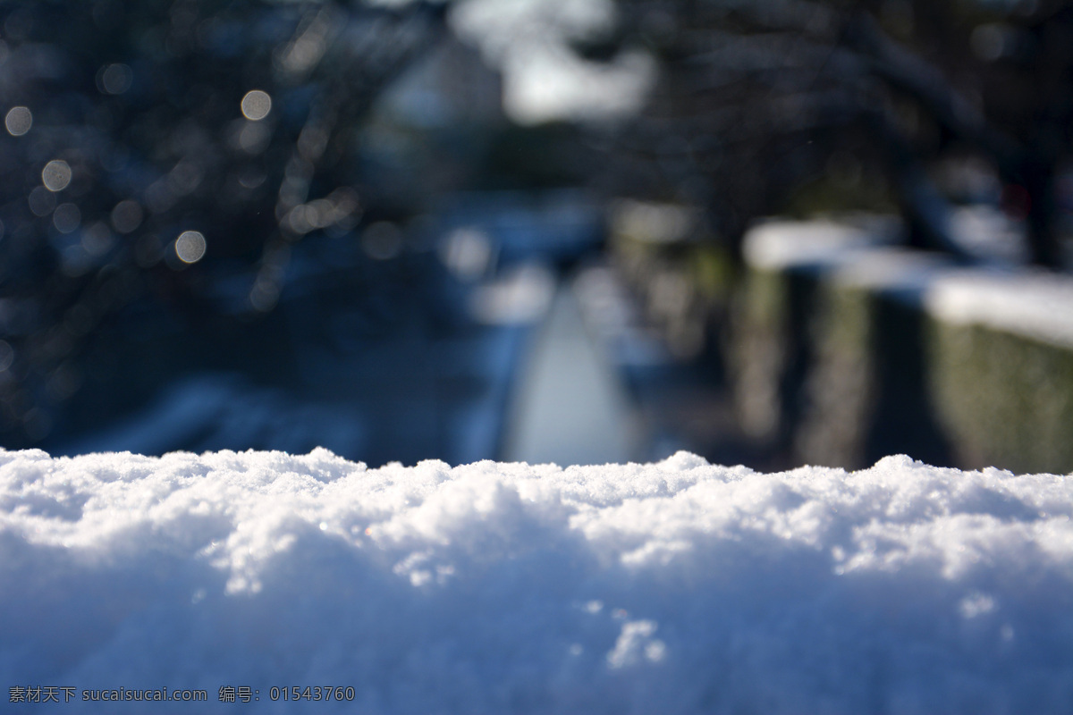 日本 京都 园林 景观 树木 自然 树林 冬天 积雪 雪地 白雪 白色 文化 历史 建筑 旅游摄影 国外旅游