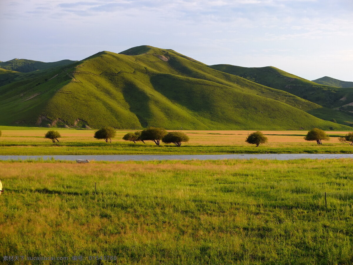 呼伦贝尔草原 草原 呼伦贝尔 风景 高原 内蒙古 旅游摄影 国内旅游