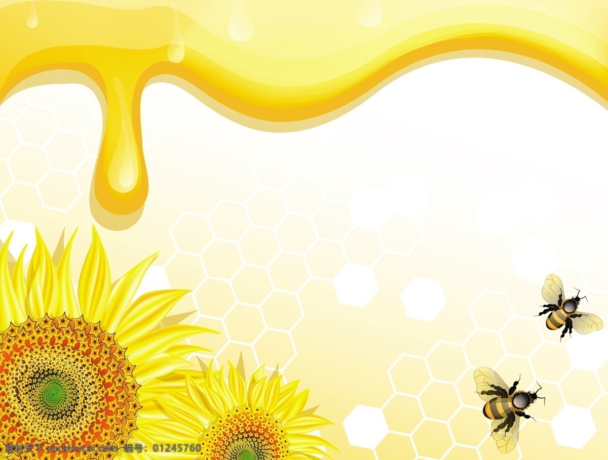 蜂蜜与葵花 蜂蜜 葵花 模板下载 向日葵 蜜糖 卡通蜜蜂 蜂巢 餐饮美食 生活百科 矢量素材 白色