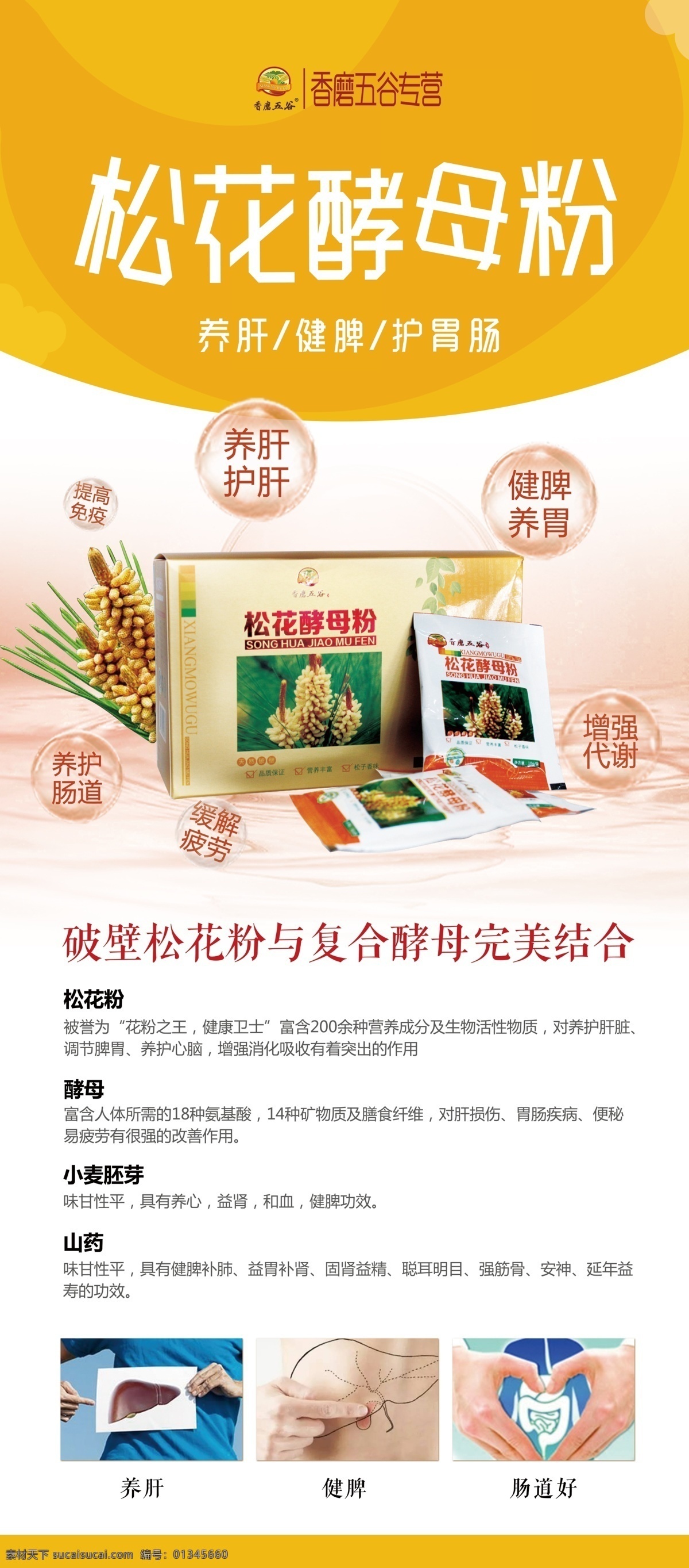 松花酵母粉 展架 养肝 健脾 肠道好
