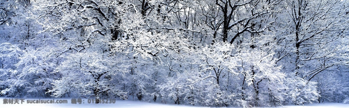 深林 雪景 艺术 壁画 油画框 风景 油画 欧式油画 艺术画 画框 客厅壁画 酒店壁画 卧室壁画 艺术壁画 床头画框 无框画共享 环境设计 无框画