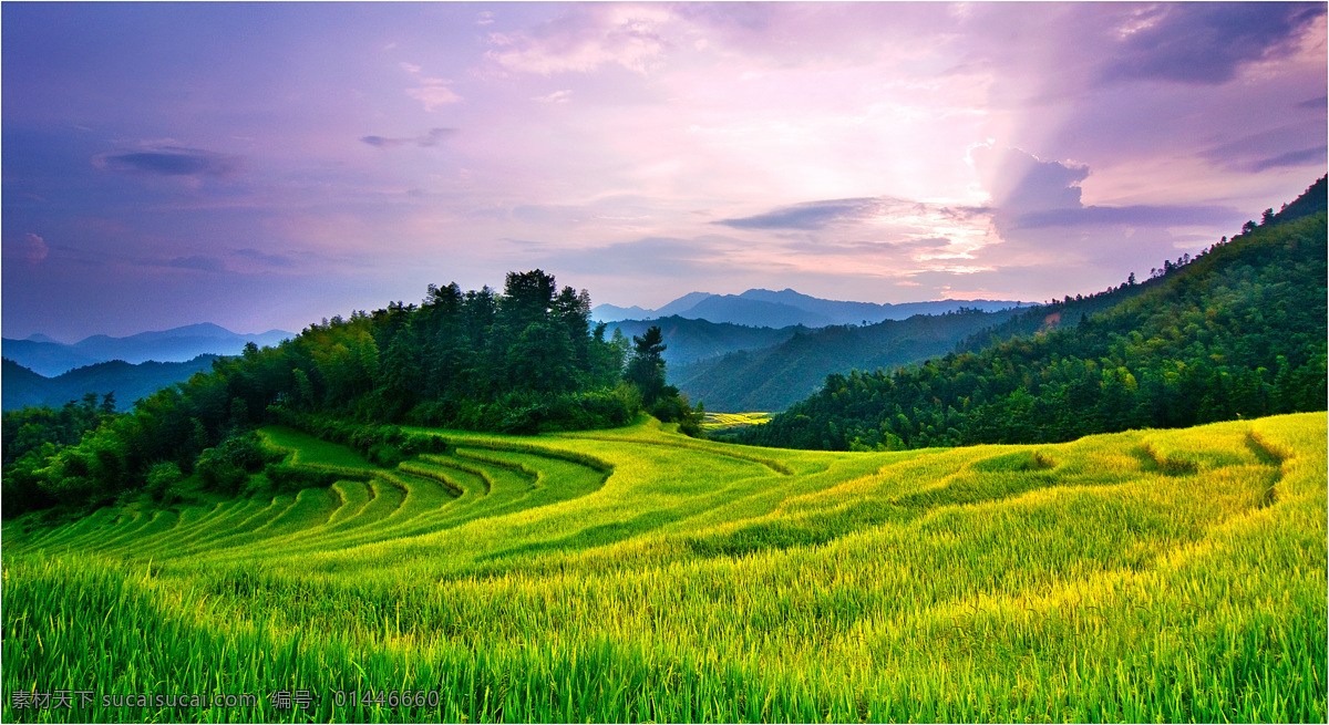 龙胜梯田 唯美 风景 风光 旅行 自然 广西 龙胜 梯田 农田 夕阳 落日 日落 黄昏 傍晚 旅游摄影 国内旅游