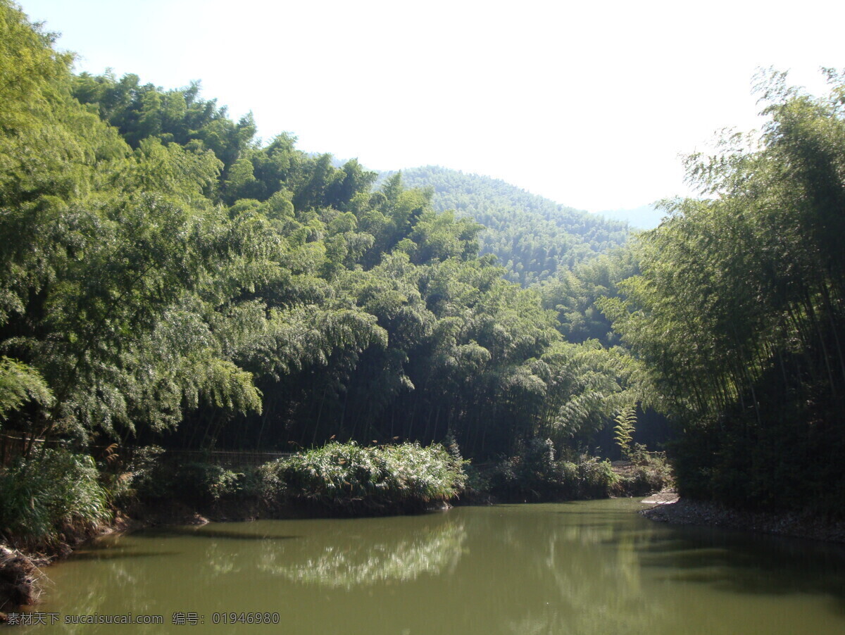 木 坑 竹海 风景 湖水 水塘 小山 竹林 竹子 自然风景 木坑竹海 自然景观 矢量图 日常生活