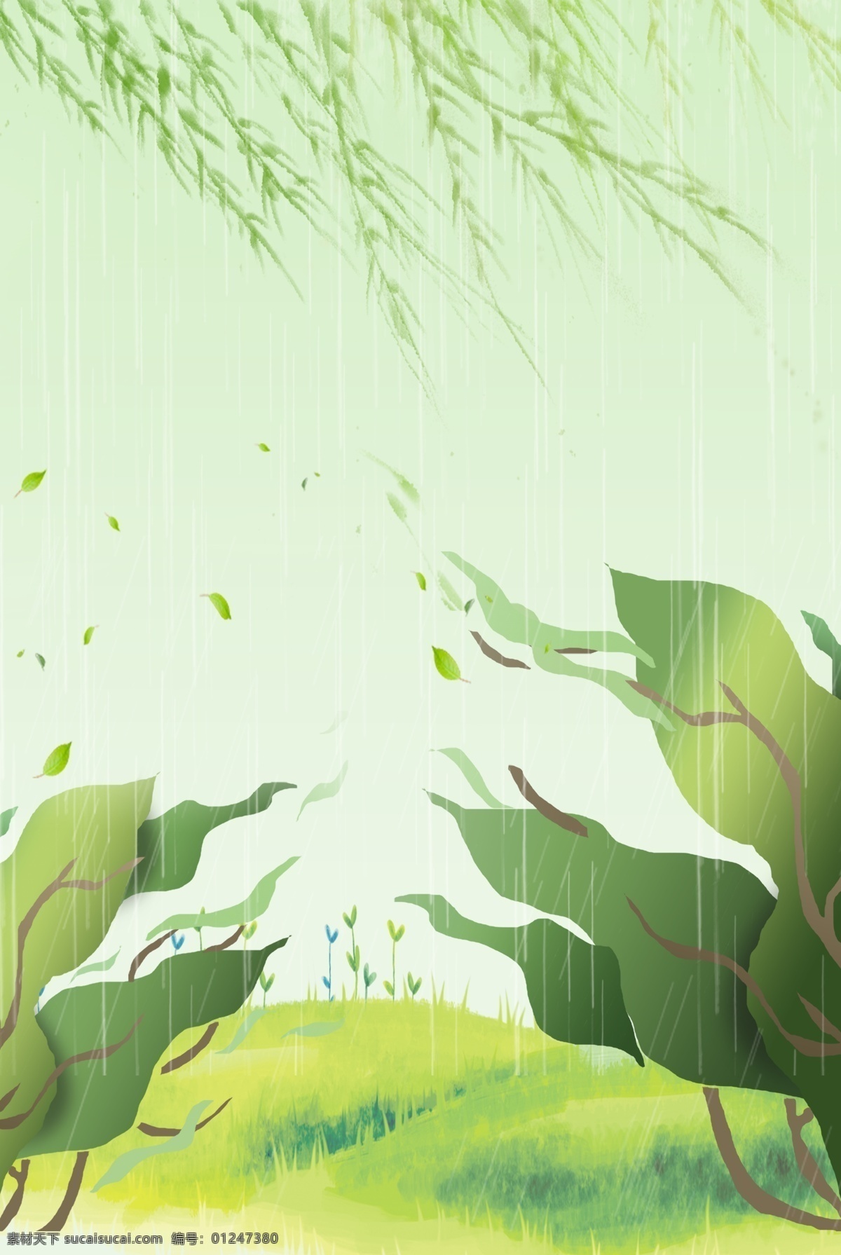 雨季 清新 叶子 漂浮 柳枝 广告 背景 叶子背景