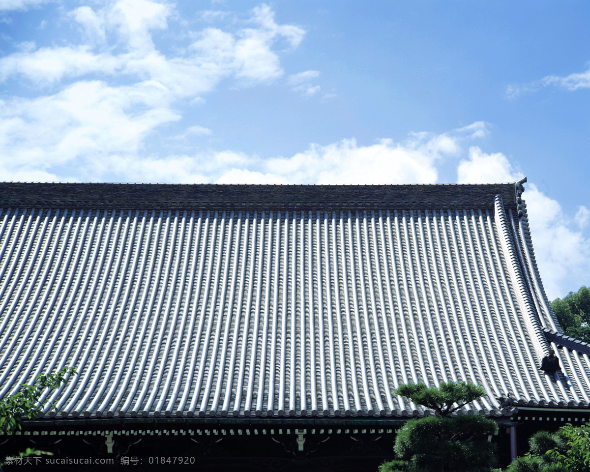 彩钢瓦屋顶 斜屋面 彩钢瓦斜屋 彩钢瓦斜屋面 灰色彩钢瓦 古建筑 复古建筑屋顶 建筑素材 建筑景观 自然景观