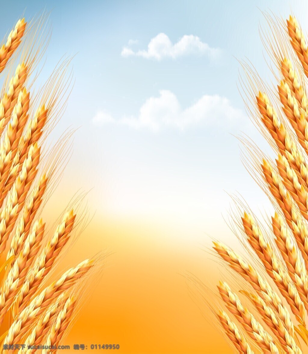 谷物 小麦 相关 矢量 金色 矢量素材 设计素材 背景素材 平面设计