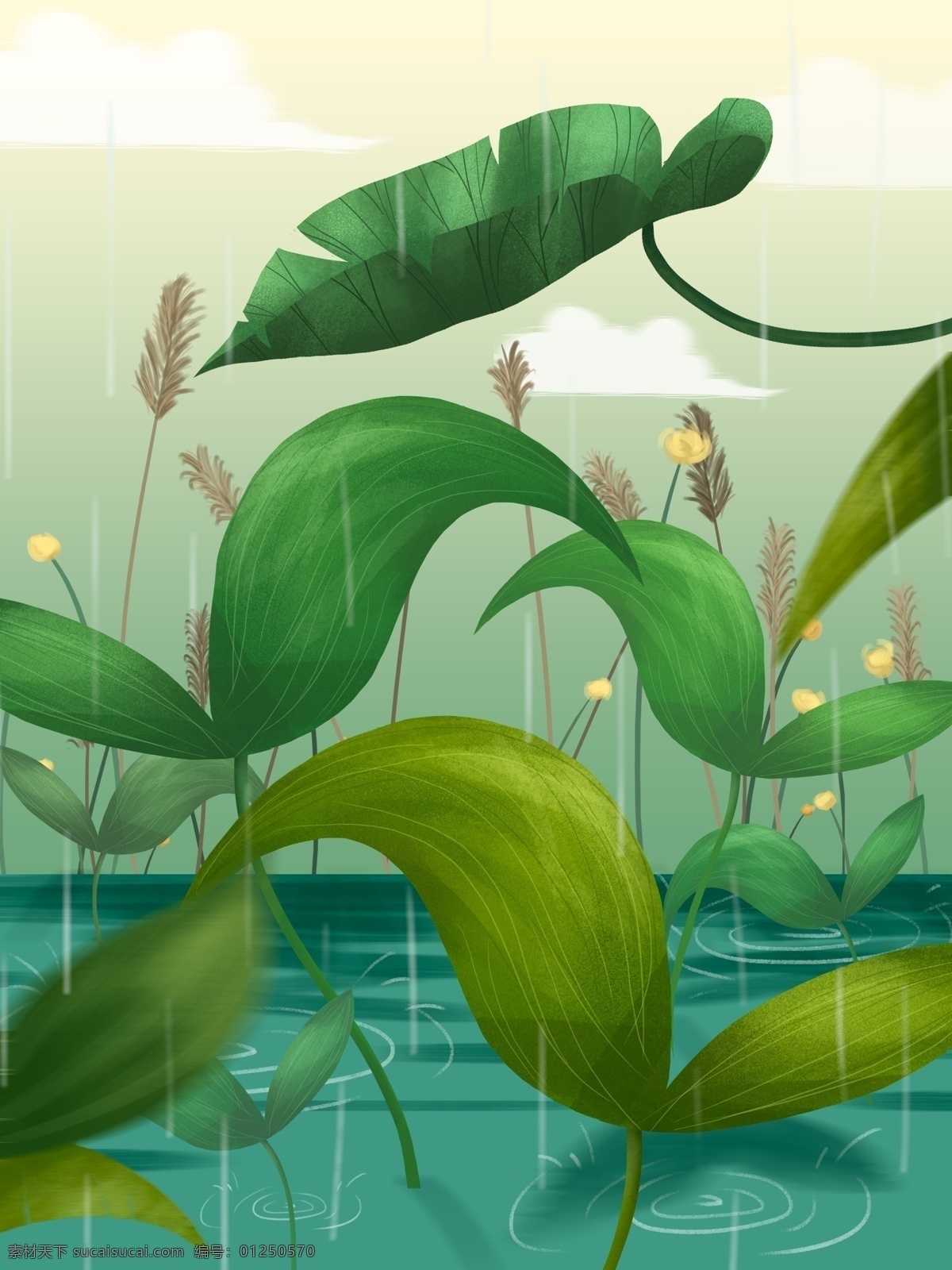 小雨 节气 河边 植物 插画 背景 花卉背景 小清新背景 植物背景 植物花卉 水彩背景 通用背景