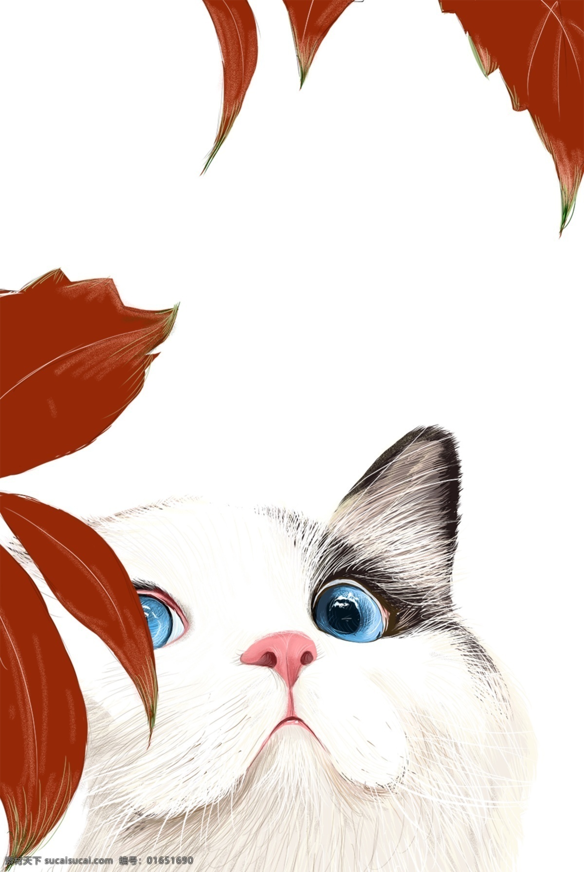 可爱 猫 星 人 主题 边框 卡通 手绘 精美 插画 海报插画 广告插画 小清新 简约风 装饰图案 可爱猫星人