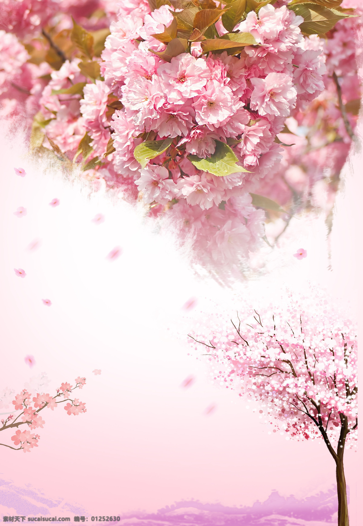 粉色 浪漫 樱花 背景 花瓣 卡通 渐变 樱花节 手绘