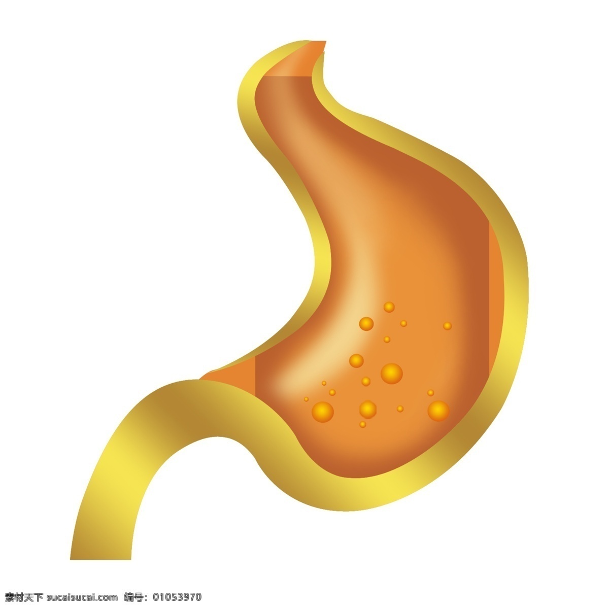 肠胃分层图 胃肠 肠 胃 矢量胃 金色 金色胃 胃膜 消化道 胃炎 胃痛 胃镜 胃病 psd分层 分层 源文件