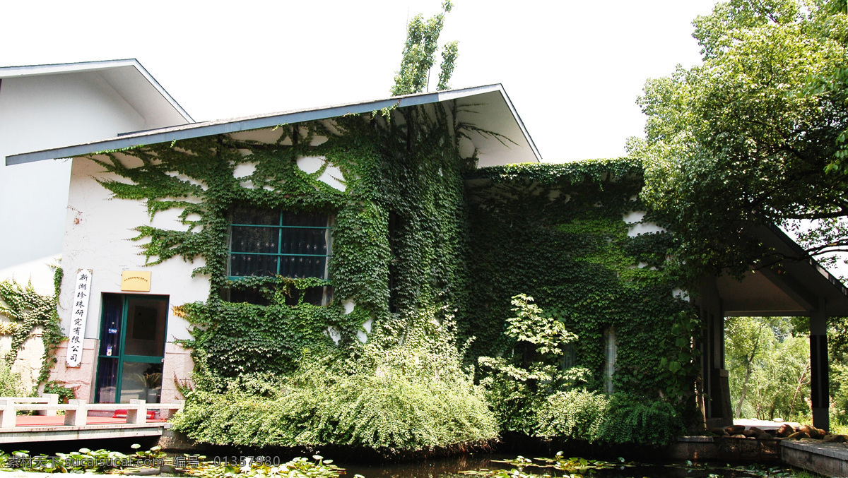 江南 欧式 建筑 建筑摄影 建筑园林 摄影图库 江南欧式建筑 家居装饰素材