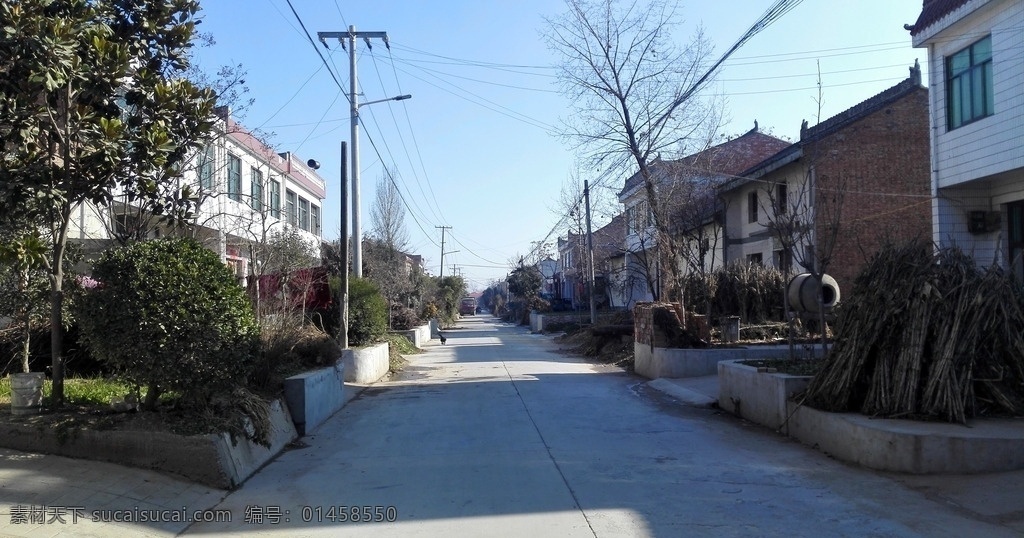 乡村道路风景 乡村 街道 道路 树木 房屋 天空 建筑景观 自然景观