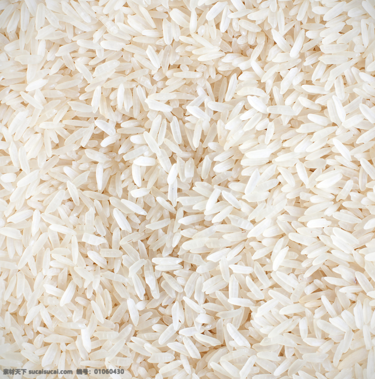 米粒 白米 粮食 大米 粳米 精米 传统美食 餐饮美食