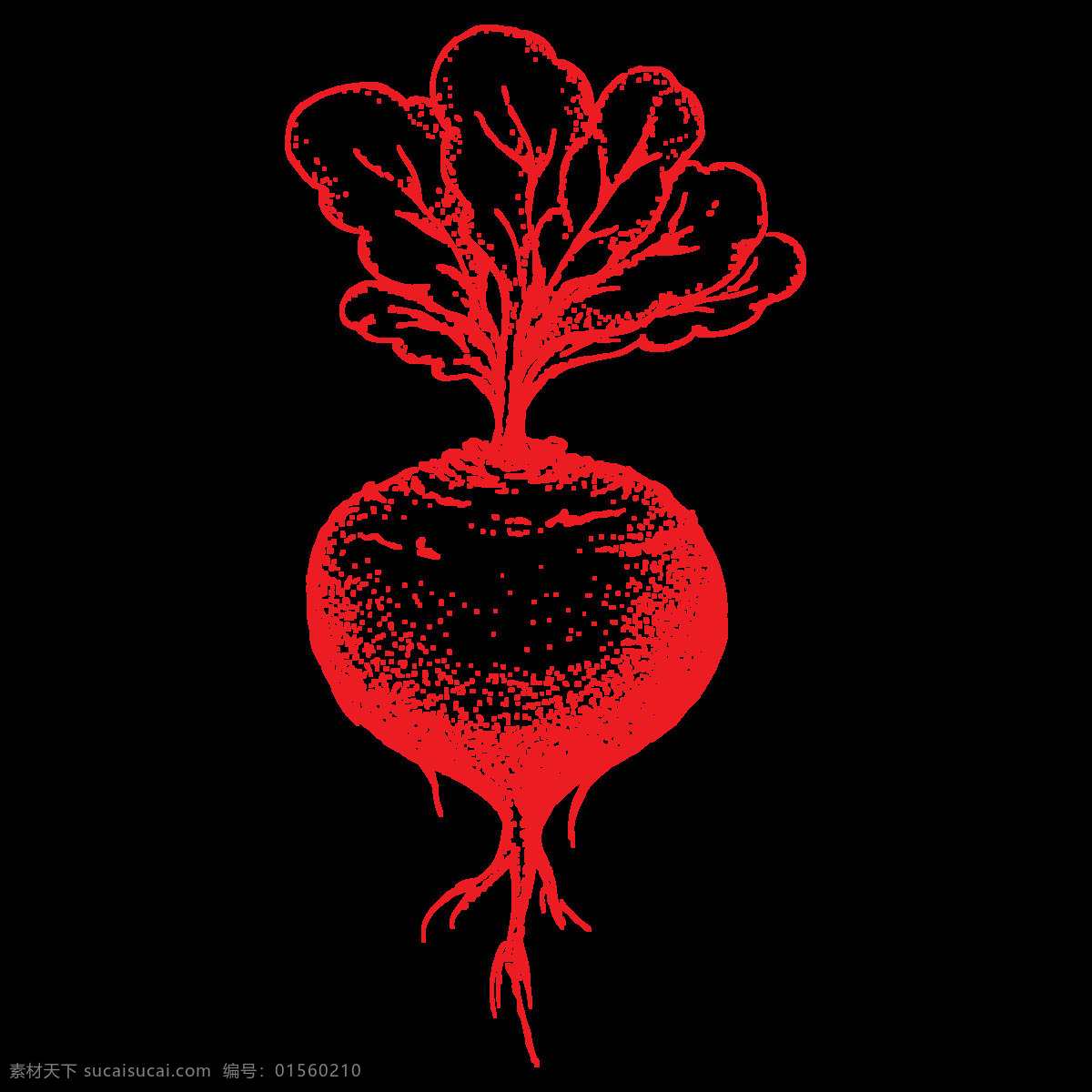 手绘 红萝卜 透明 蔬菜 png素材 逼真 卡通 可爱 免扣素材