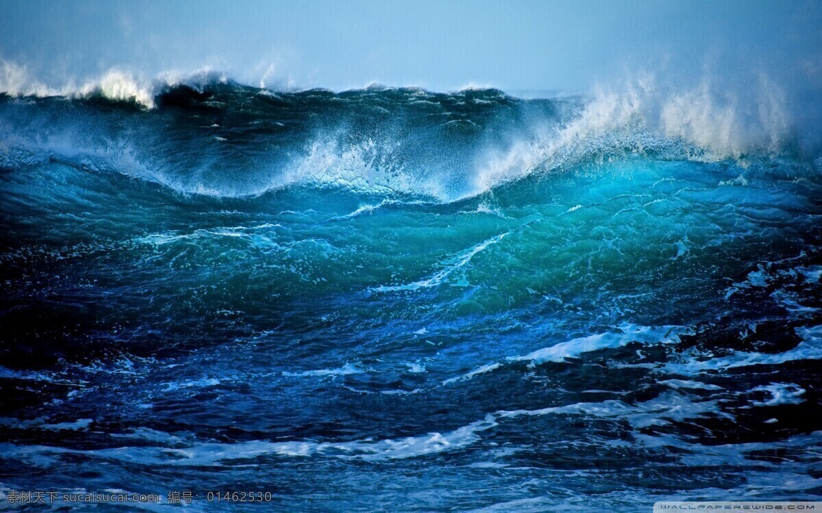 海浪 大海 澎湃海浪 海 海水 自然风景 自然景观