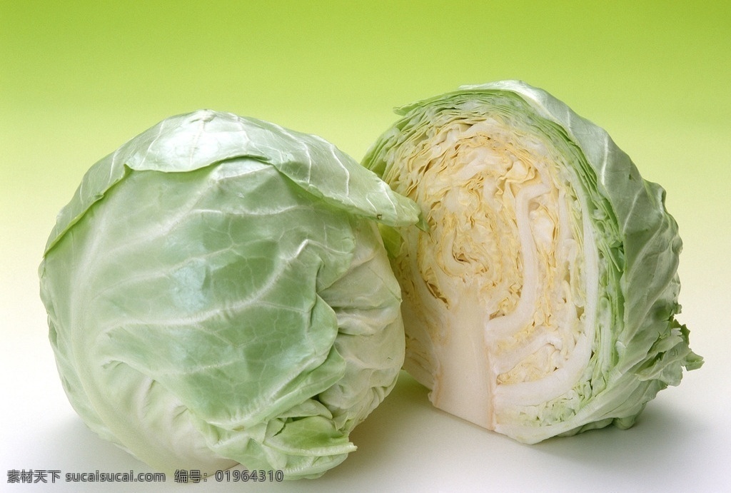 卷心菜 包菜 绿色蔬菜 绿叶 绿色 菜叶 叶子 健康蔬菜 食材 蔬菜 生物世界