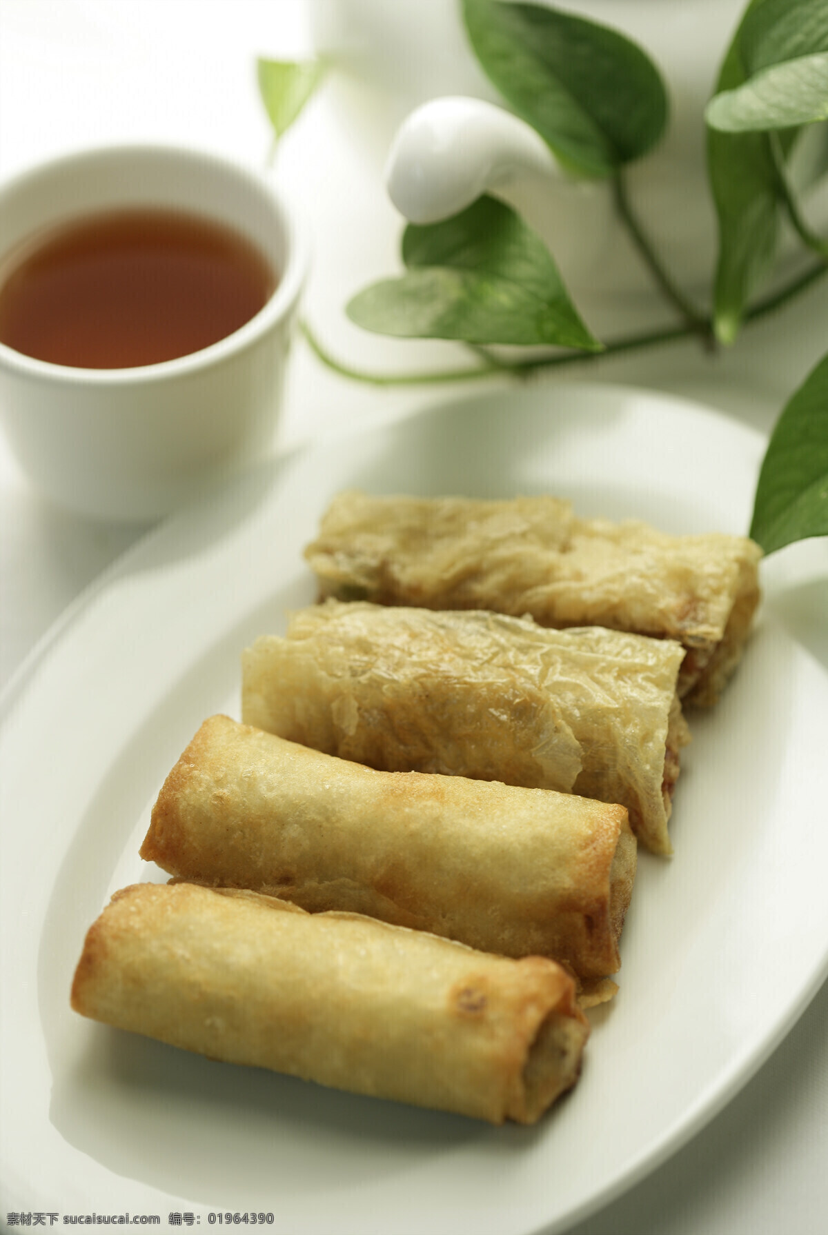 春卷 粮食 食物 饮食 美食 传统美食 中华美食 中国美食 餐饮美食