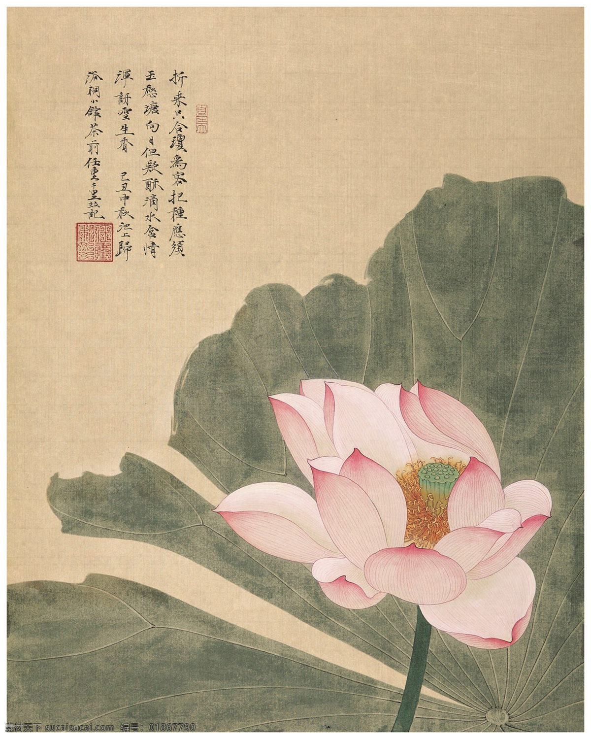 任重 风荷 中国画 国画 荷花 莲花 藕花 国画小品 工笔 中国画工笔 绘画书法 文化艺术