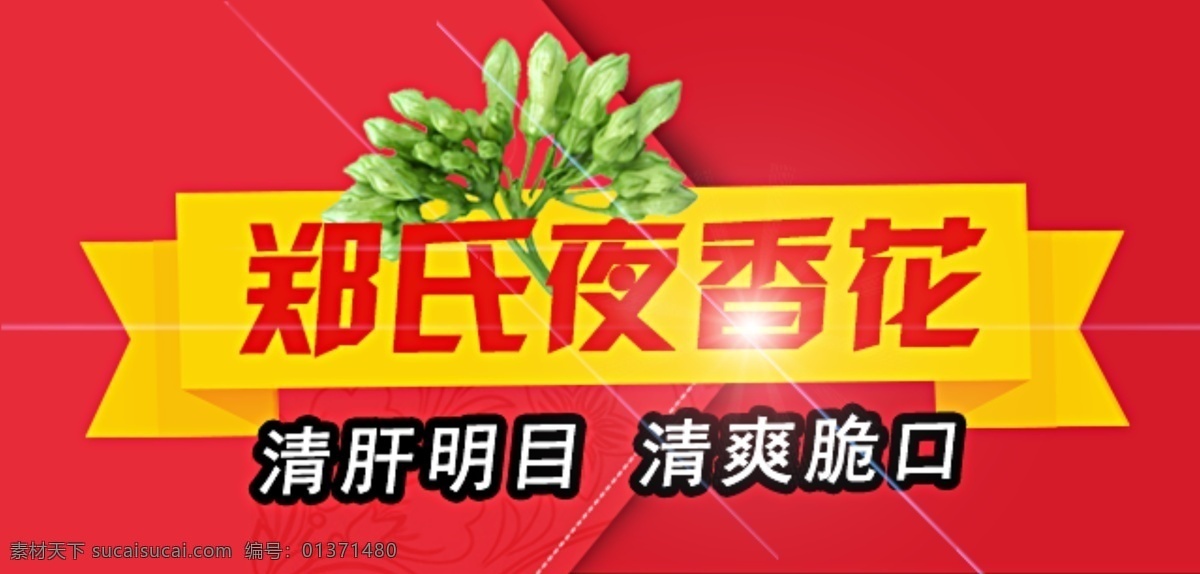 天天 信宜 美食 夜 香花 banner 红色背景 农产品 郑氏夜香花 天天信宜 蔬菜 果蔬 夜香花 原创设计 原创淘宝设计